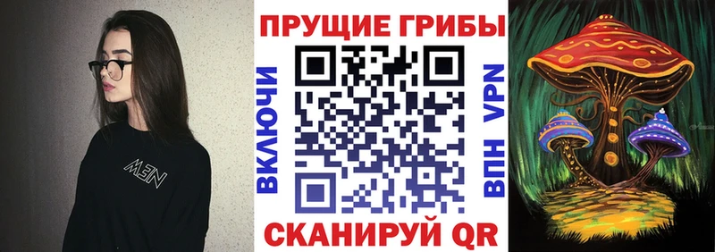 Псилоцибиновые грибы прущие грибы как найти Серафимович